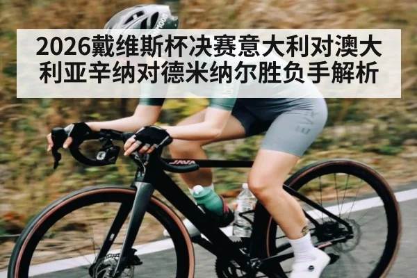 2026戴维斯杯决赛意大利对澳大利亚辛纳对德米纳尔胜负手解析 | kaiyun